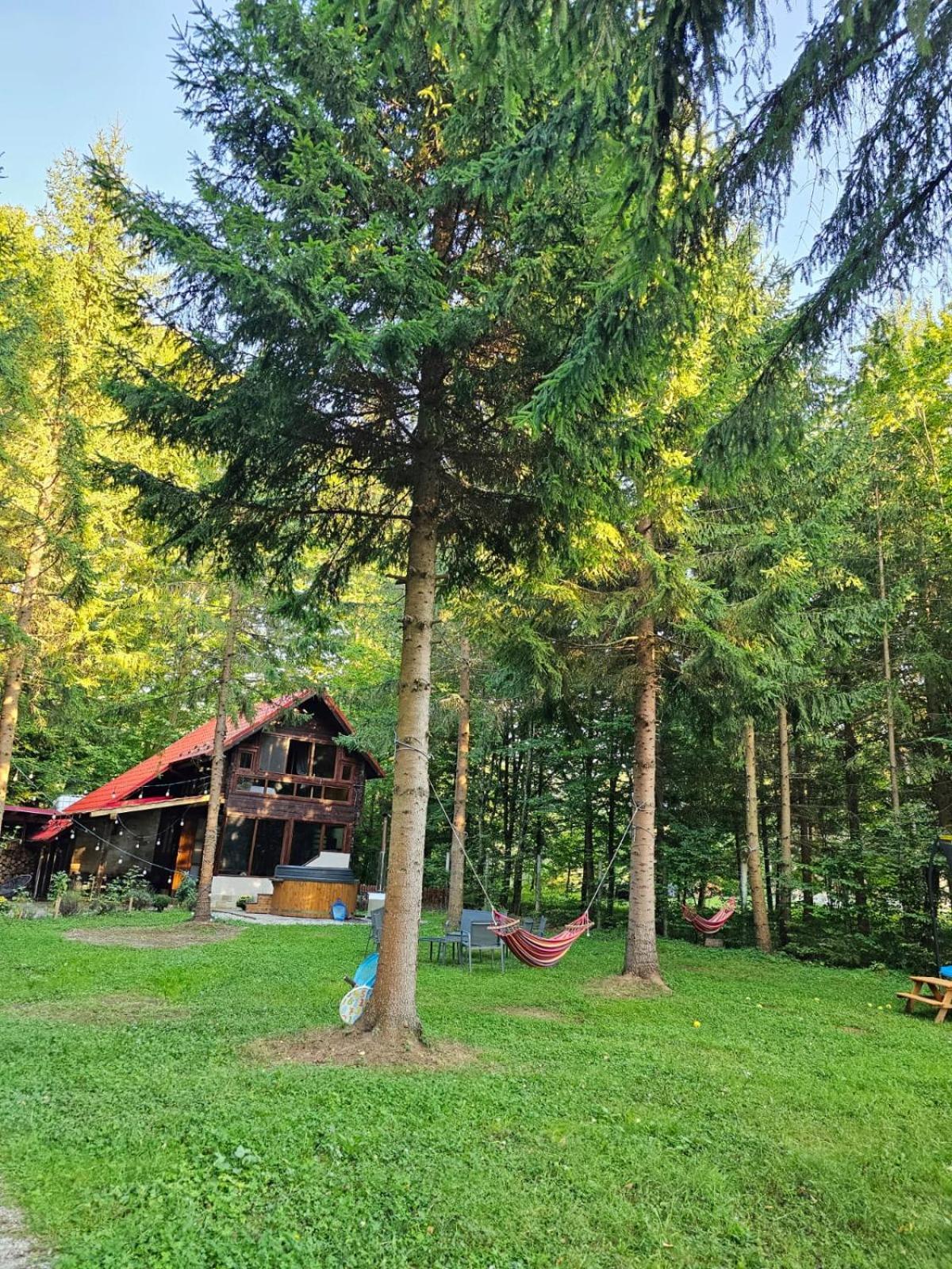 Misha'S House Villa Porumbacu de Sus Exteriör bild